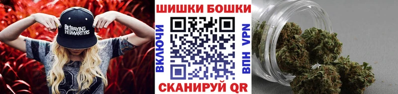 Каннабис Брюховецкая