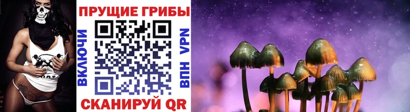 Галлюциногенные грибы Magic Shrooms  Брюховецкая 