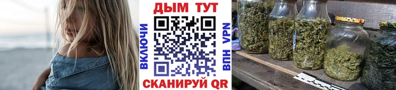 Каннабис OG Kush  сколько стоит  Брюховецкая 